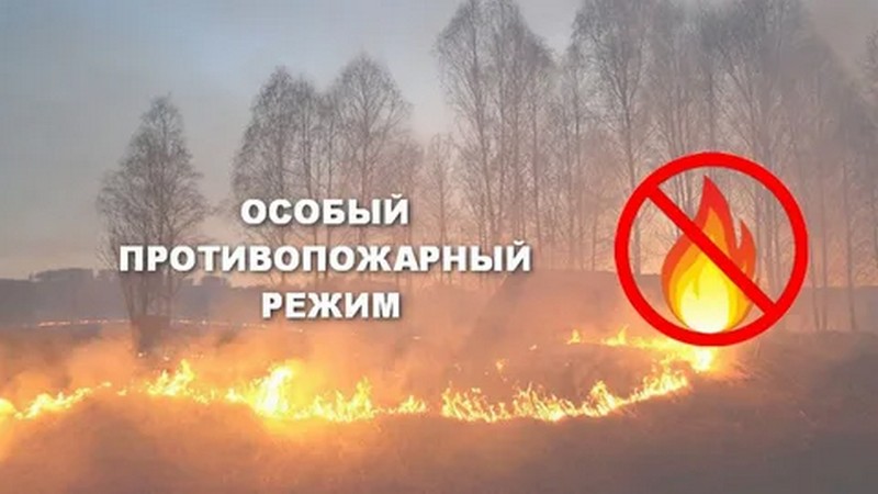 ВНИМАНИЕ! Действует особый противопожарный режим  доступ в лес ограничен!.